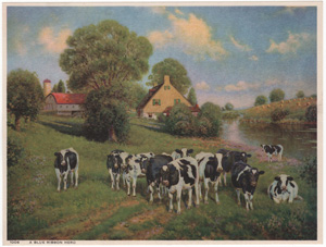 Vintage Calendar Art cows, cattle, livestock, farm life, etc.